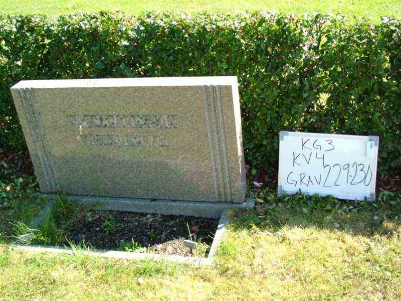 Gravnummer: 3 04   229-230