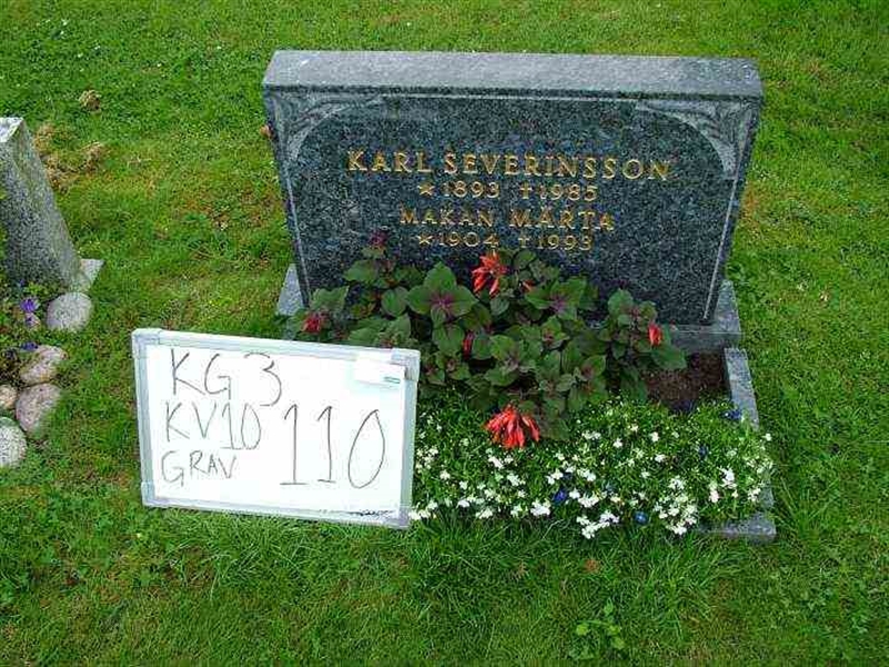 Gravnummer: 3 10   110