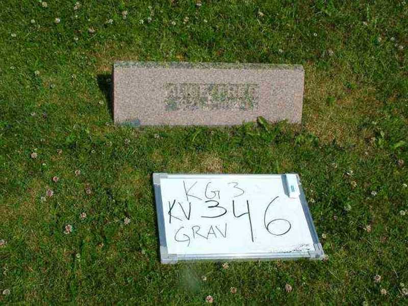 Gravnummer: 3 03    46