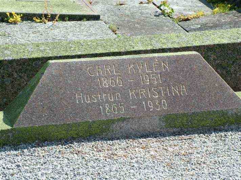 Gravnummer: 3 06    65-66