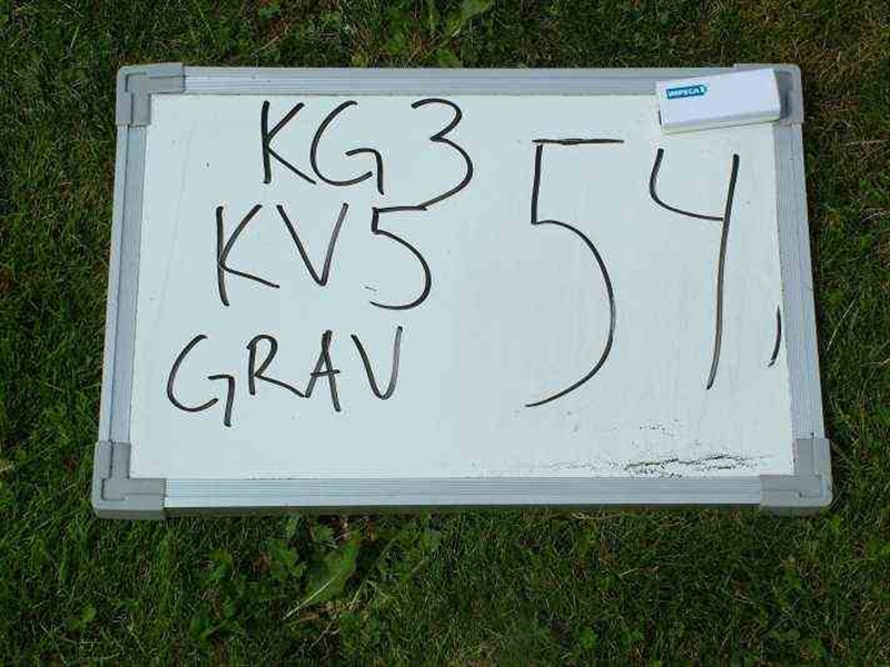 Gravnummer: 3 05    54