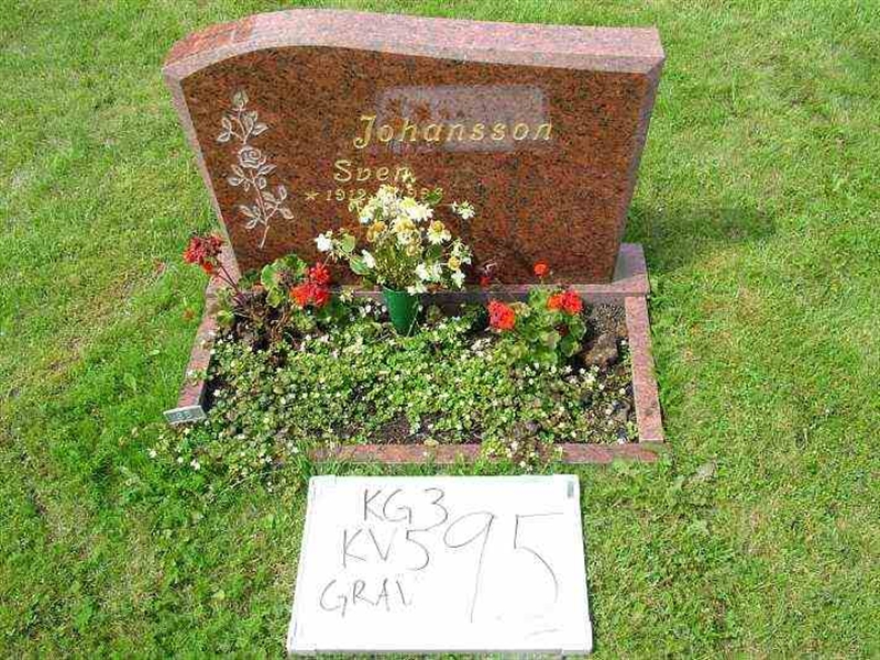 Gravnummer: 3 05    95