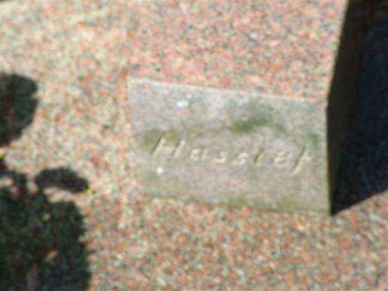 Hautatunnus: 3 04   436