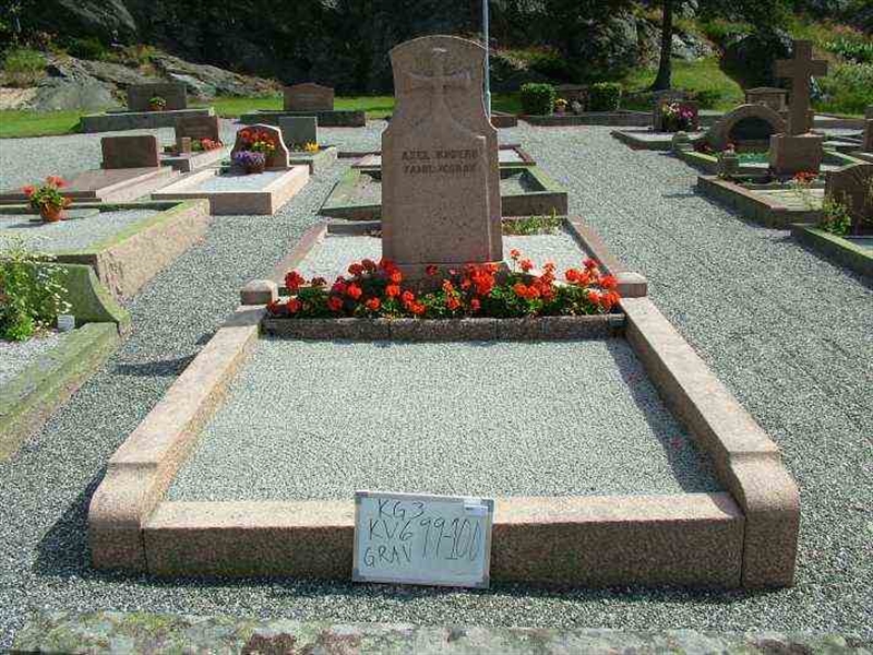 Gravnummer: 3 06    99-100