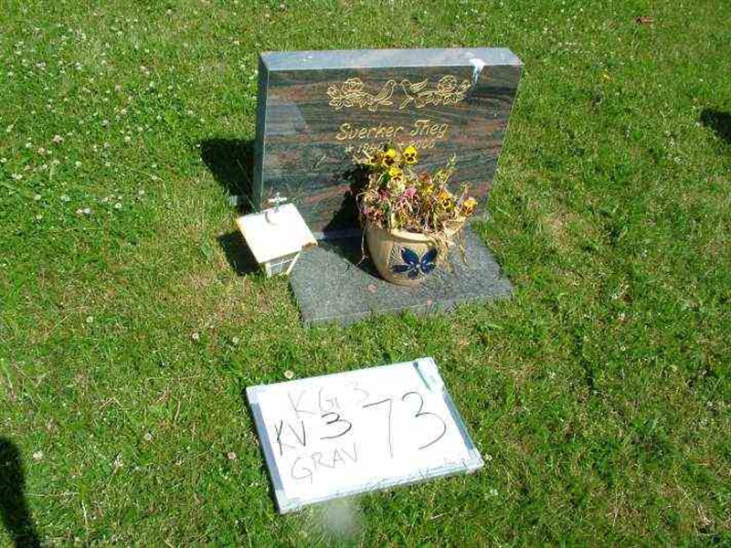 Gravnummer: 3 03    73