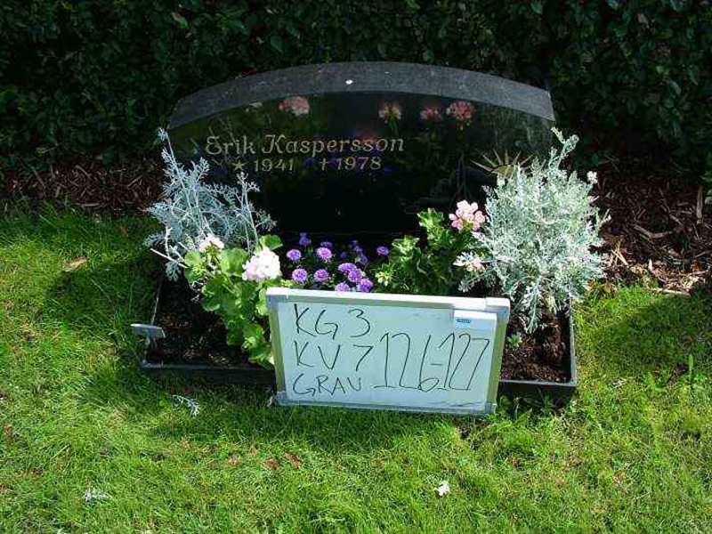 Gravnummer: 3 07   127