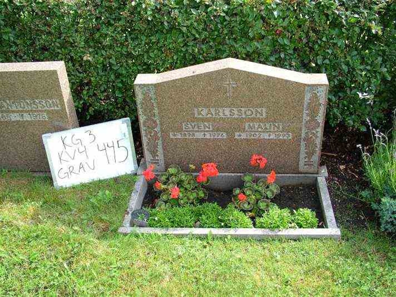 Gravnummer: 3 04   445