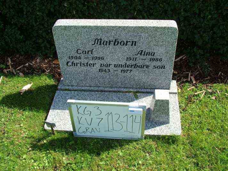 Gravnummer: 3 07   113-114