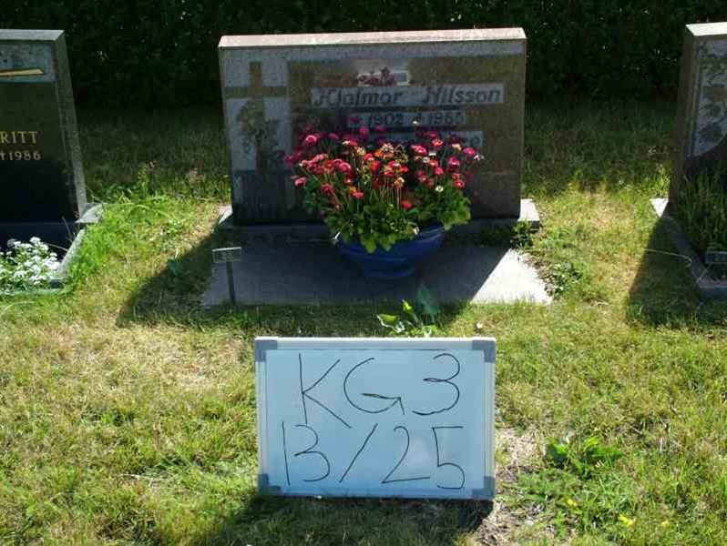 Hautatunnus: 3 13    25