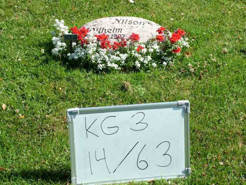 Hautatunnus: 3 14    63