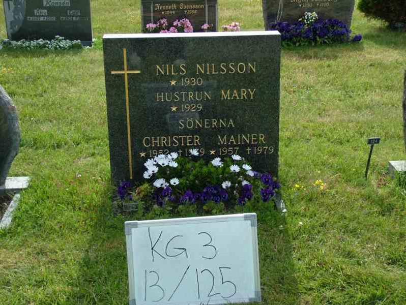 Hautatunnus: 3 13   125