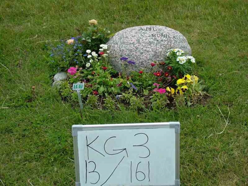 Grave number: 3 13   161