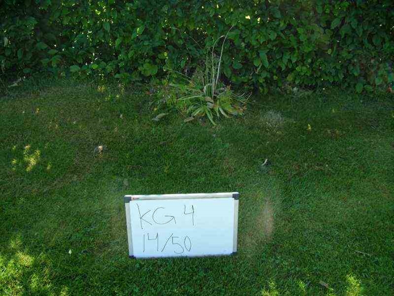 Hautatunnus: 4 14-G    50