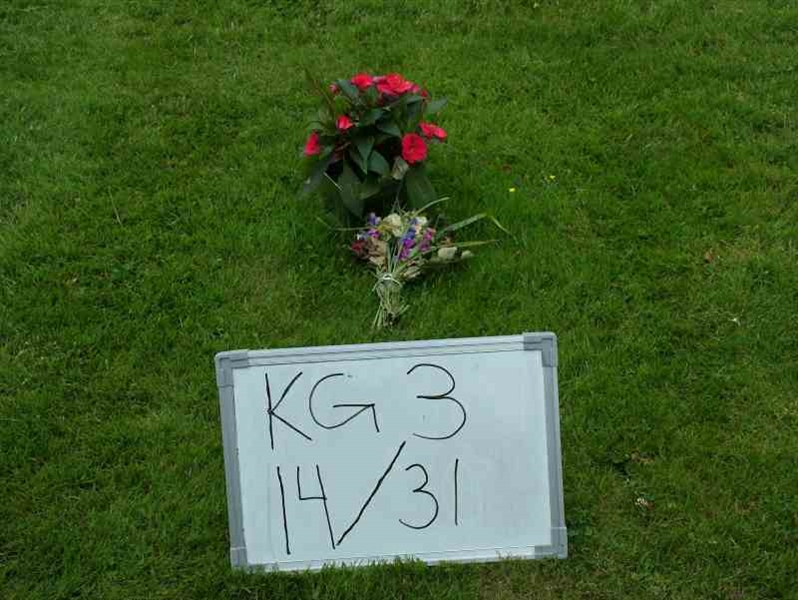 Gravnummer: 3 14    31