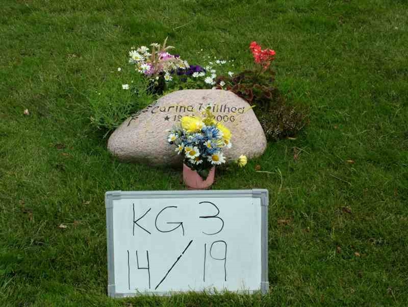 Hautatunnus: 3 14    19