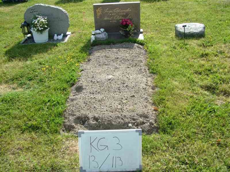 Hautatunnus: 3 13   113