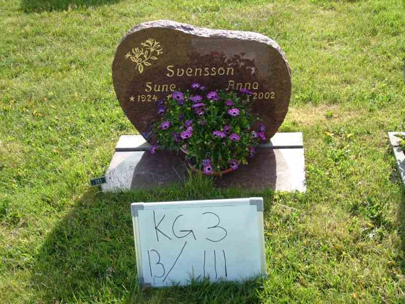 Hautatunnus: 3 13   111