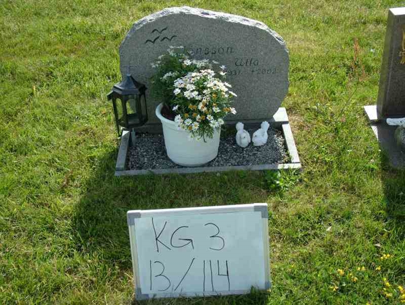 Hautatunnus: 3 13   114