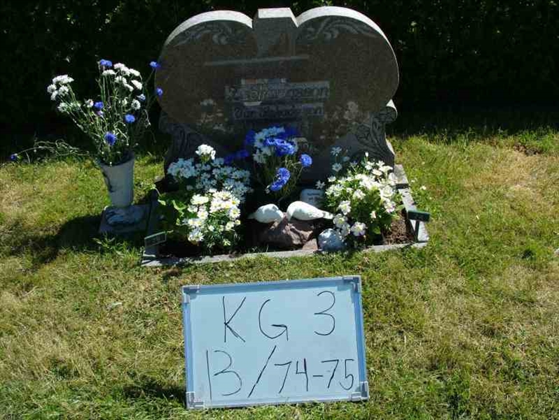 Hautatunnus: 3 13    74-75