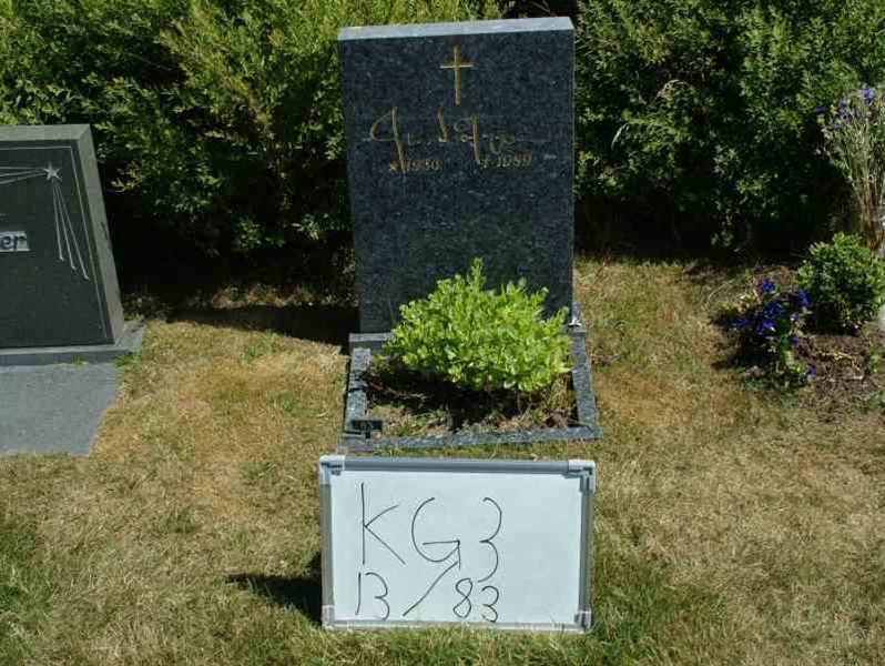 Hautatunnus: 3 13    83