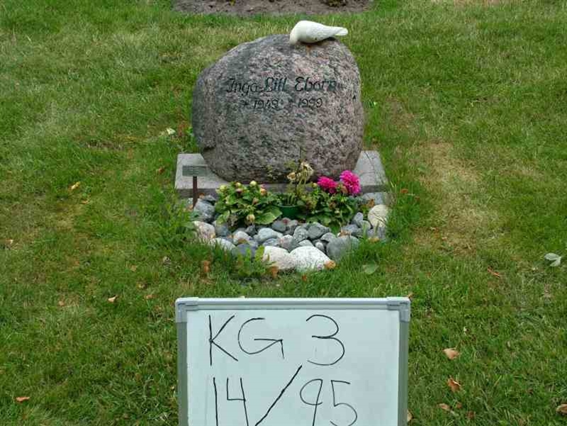 Hautatunnus: 3 14    95