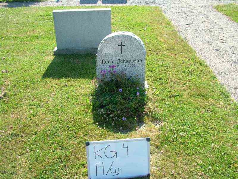 Hautatunnus: 4 14-G   564