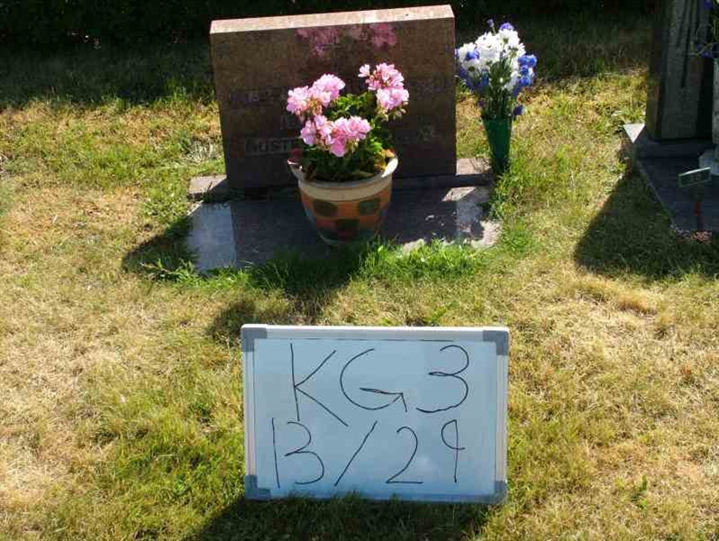 Grave number: 3 13    29