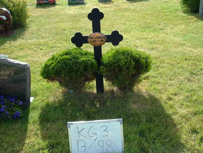 Hautatunnus: 3 13    98