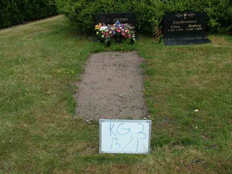 Hautatunnus: 3 13     1