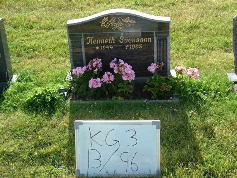 Hautatunnus: 3 13    96