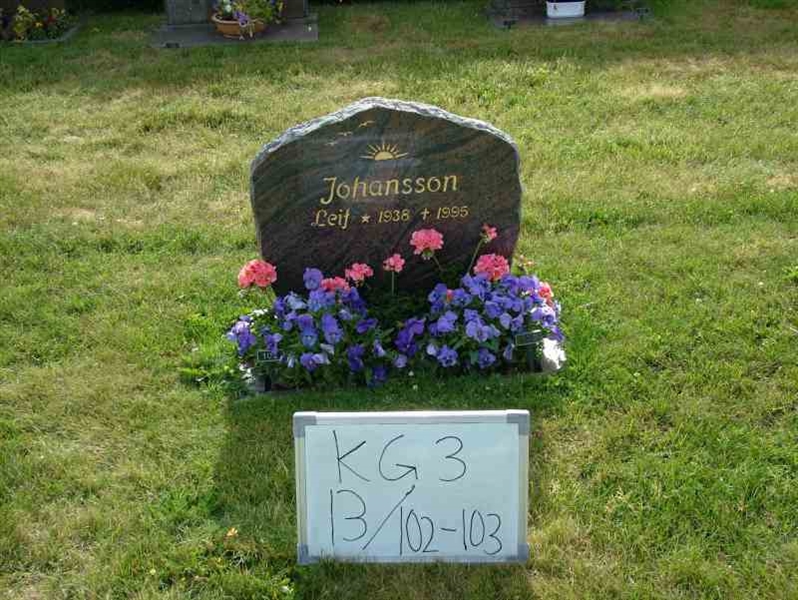 Hautatunnus: 3 13   102-103