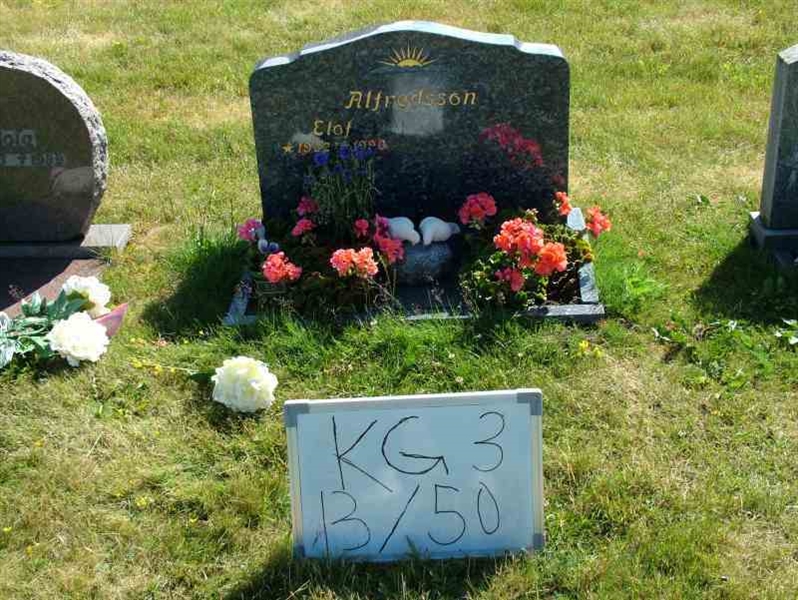 Grave number: 3 13    50