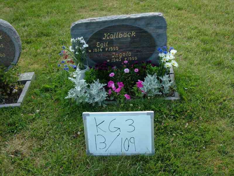 Hautatunnus: 3 13   109