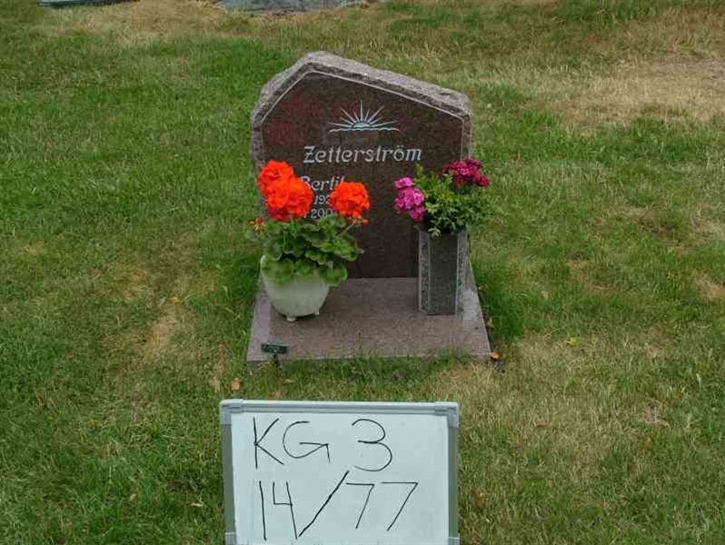 Hautatunnus: 3 14    77