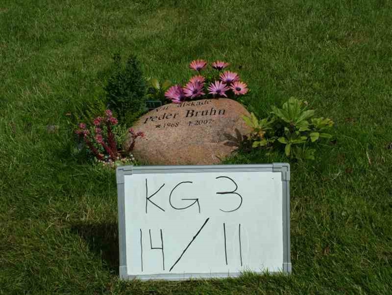 Hautatunnus: 3 14    11