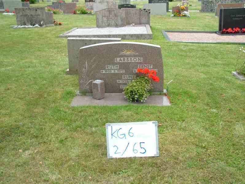 Hautatunnus: 6 02    65-3