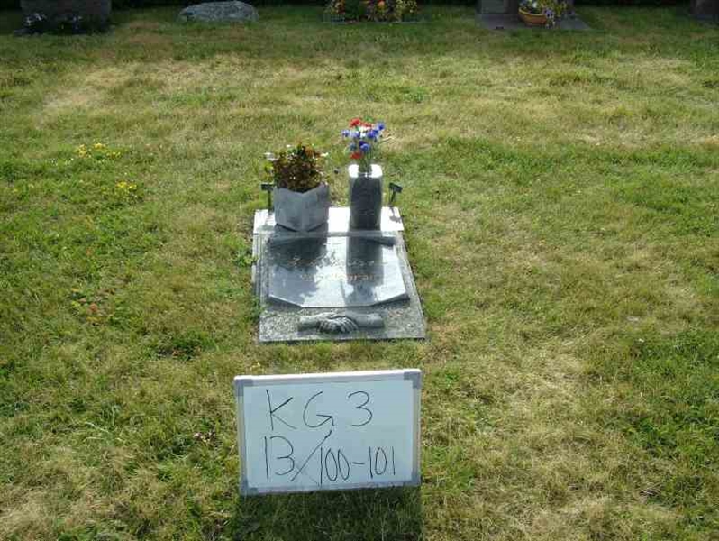 Hautatunnus: 3 13   100-101