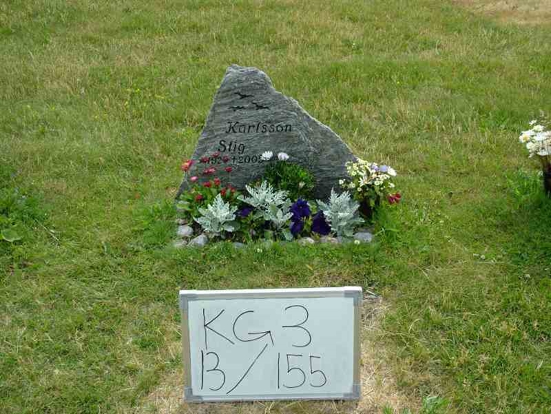 Hautatunnus: 3 13   155