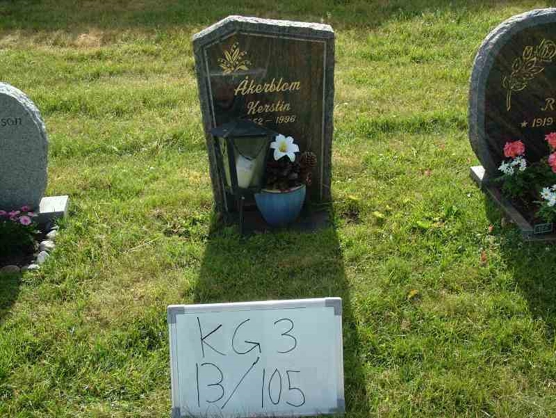 Hautatunnus: 3 13   105