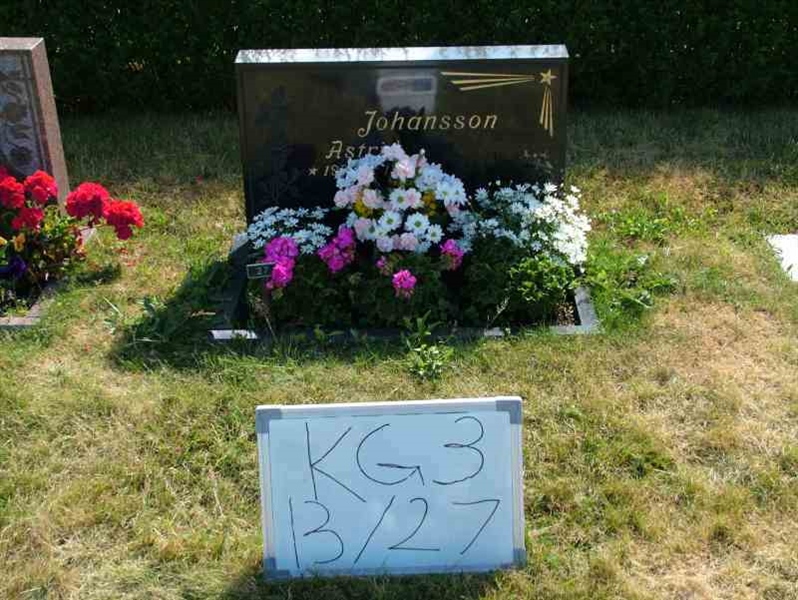 Hautatunnus: 3 13    27