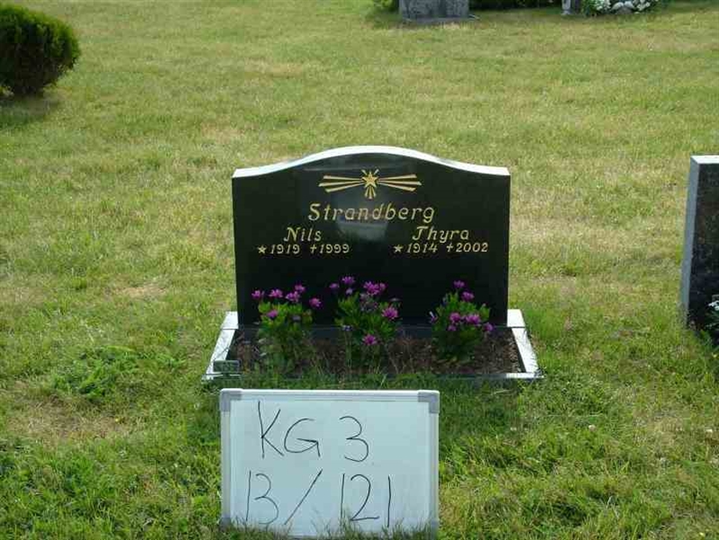 Hautatunnus: 3 13   121