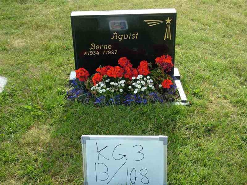 Hautatunnus: 3 13   108