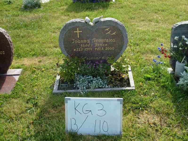 Hautatunnus: 3 13   110