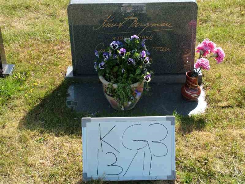 Grave number: 3 13    11