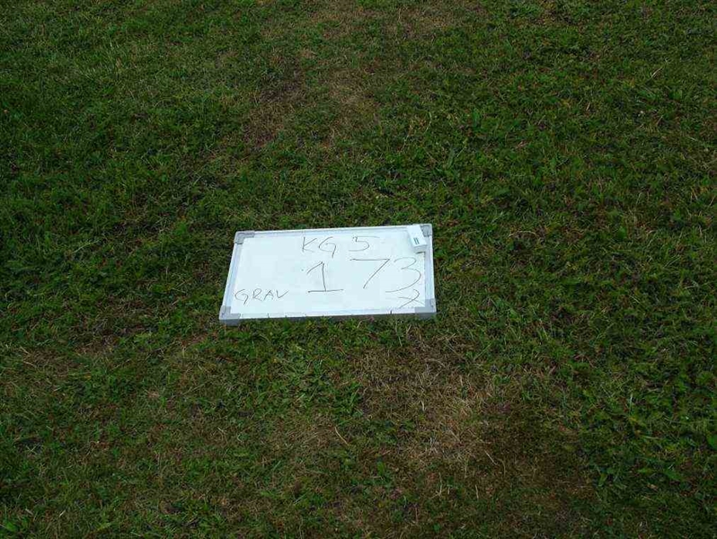 Gravnummer: 5   173-2