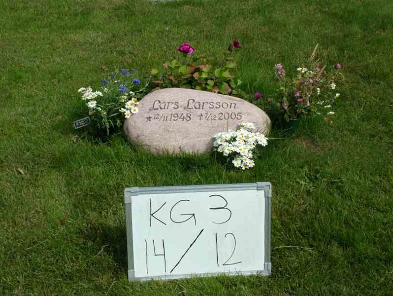 Hautatunnus: 3 14    12