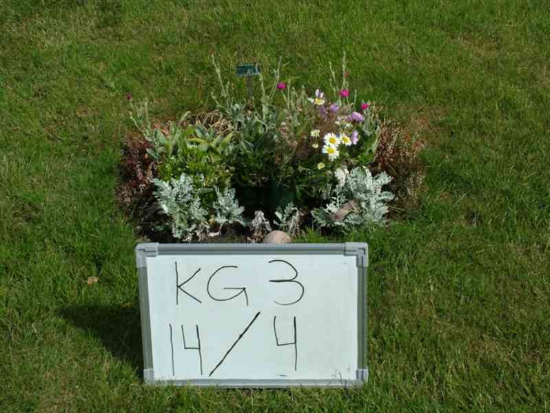 Hautatunnus: 3 14     4