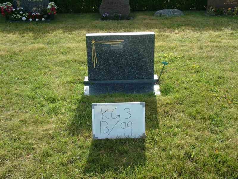 Grave number: 3 13    99