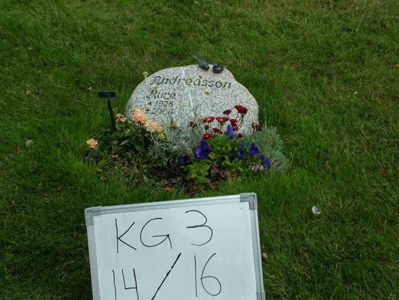 Gravnummer: 3 14    16