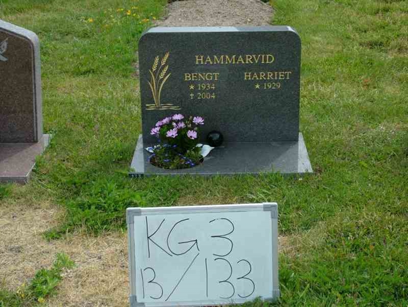 Hautatunnus: 3 13   133